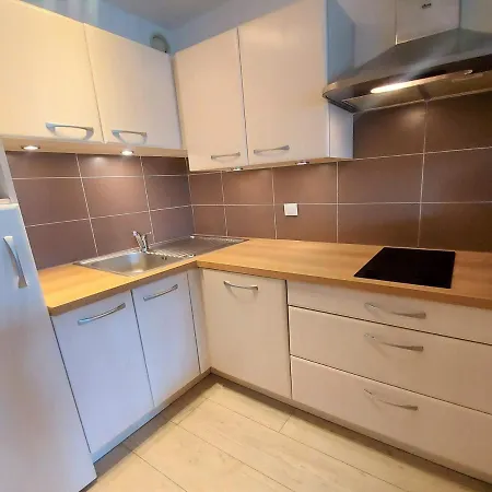 Charmant T2 Au Coeur Du Village, Balcon, Parking, Proche Commodites Et Navette Ski-bus - Fr-1-624-27 Lejlighed